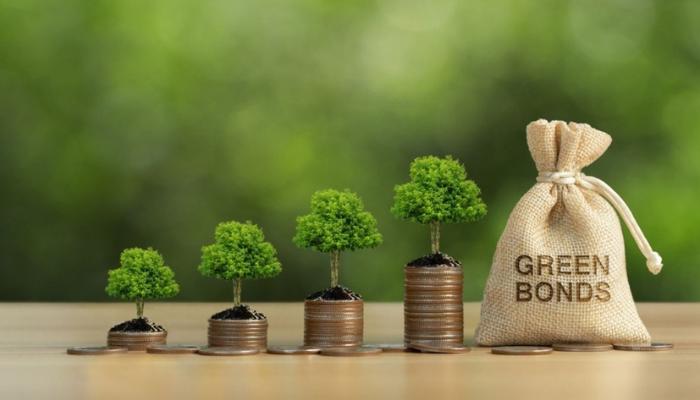 Uncovering and exploring the secrets of Green Bonds