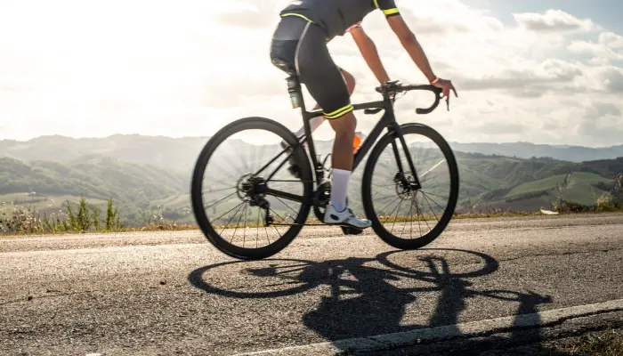 Everything You Need to Know About Markel Bicycle Insurance