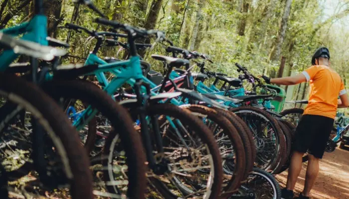 Simple Bike Insurance Review: Is It Right for You?